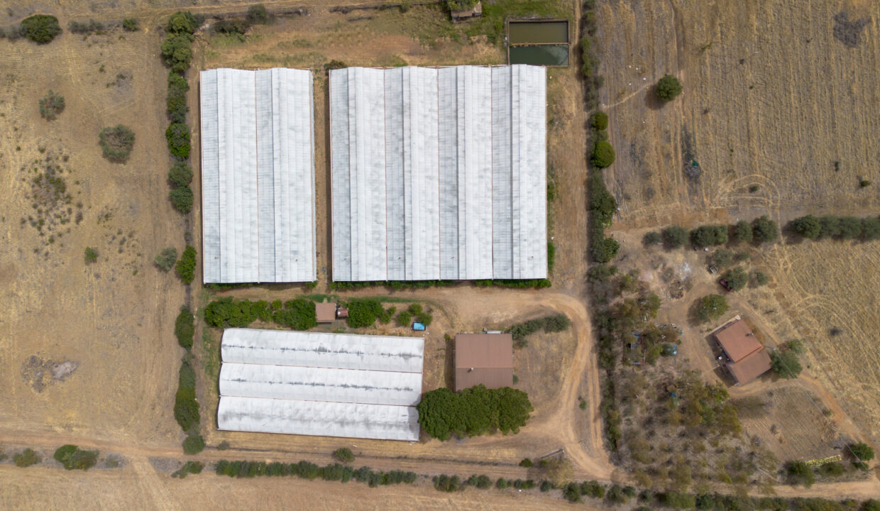 reunion-immobiliare-azienda-agricola-capoterra-1