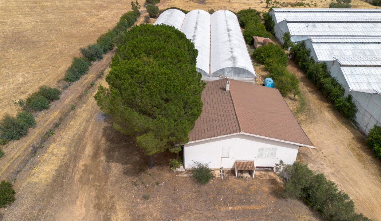 reunion-immobiliare-azienda-agricola-capoterra-10