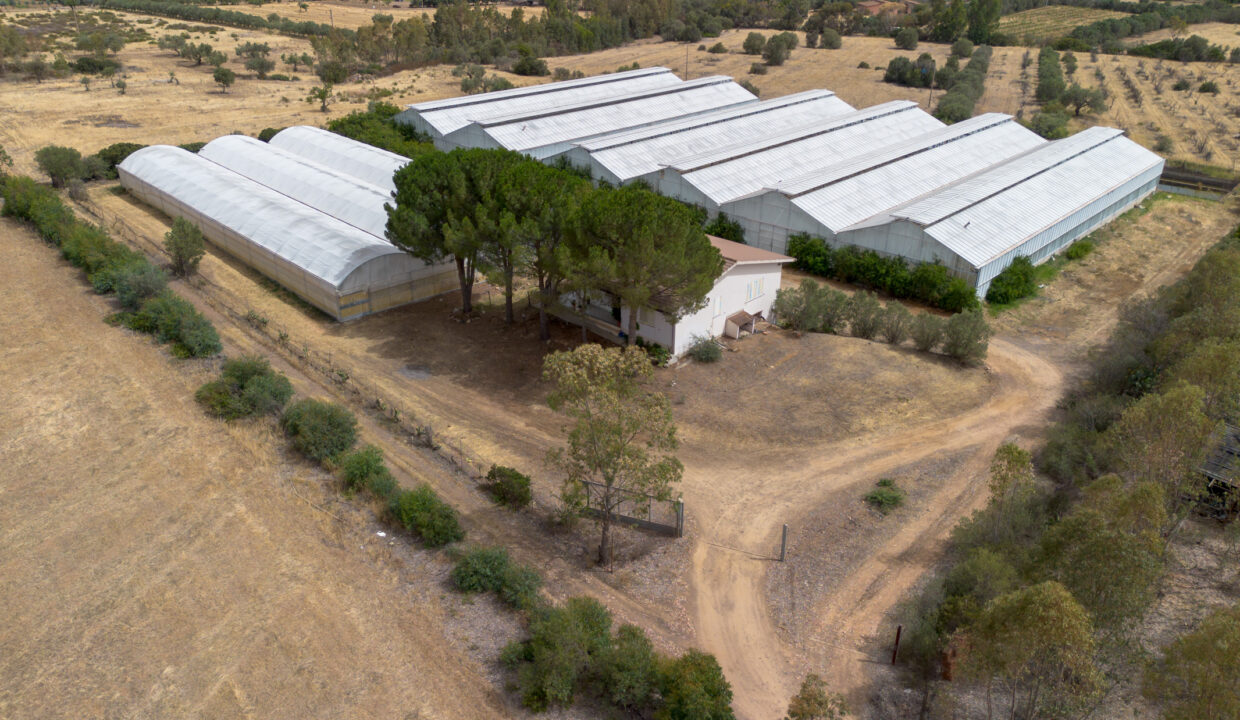 reunion-immobiliare-azienda-agricola-capoterra-11