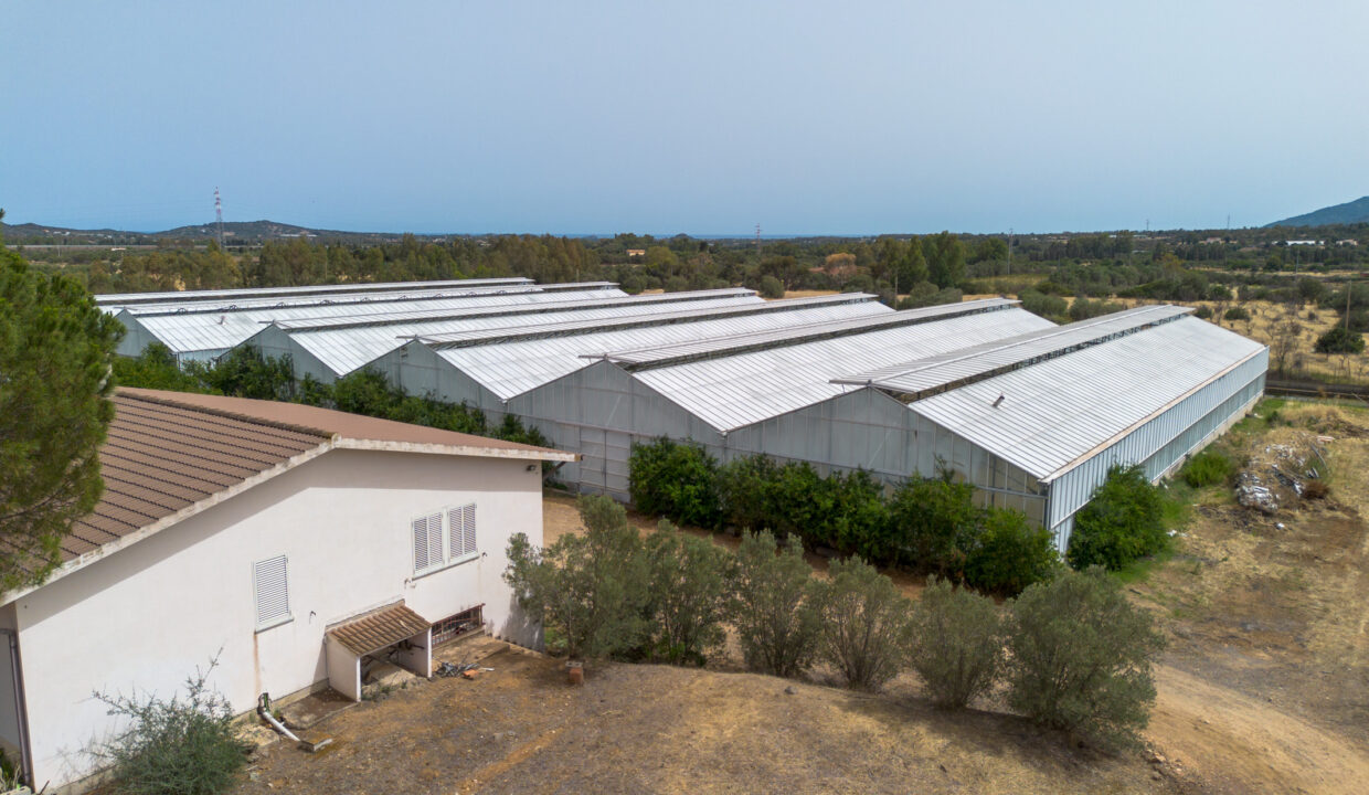 reunion-immobiliare-azienda-agricola-capoterra-13