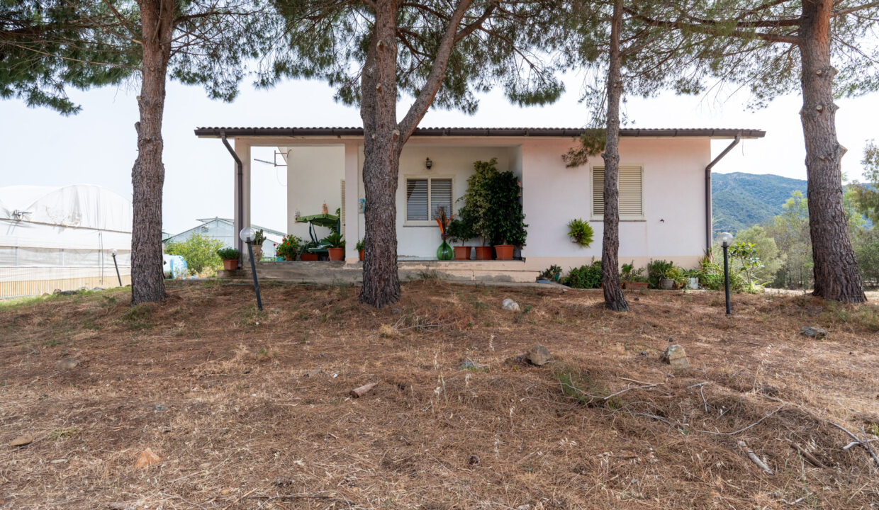 reunion-immobiliare-azienda-agricola-capoterra-14