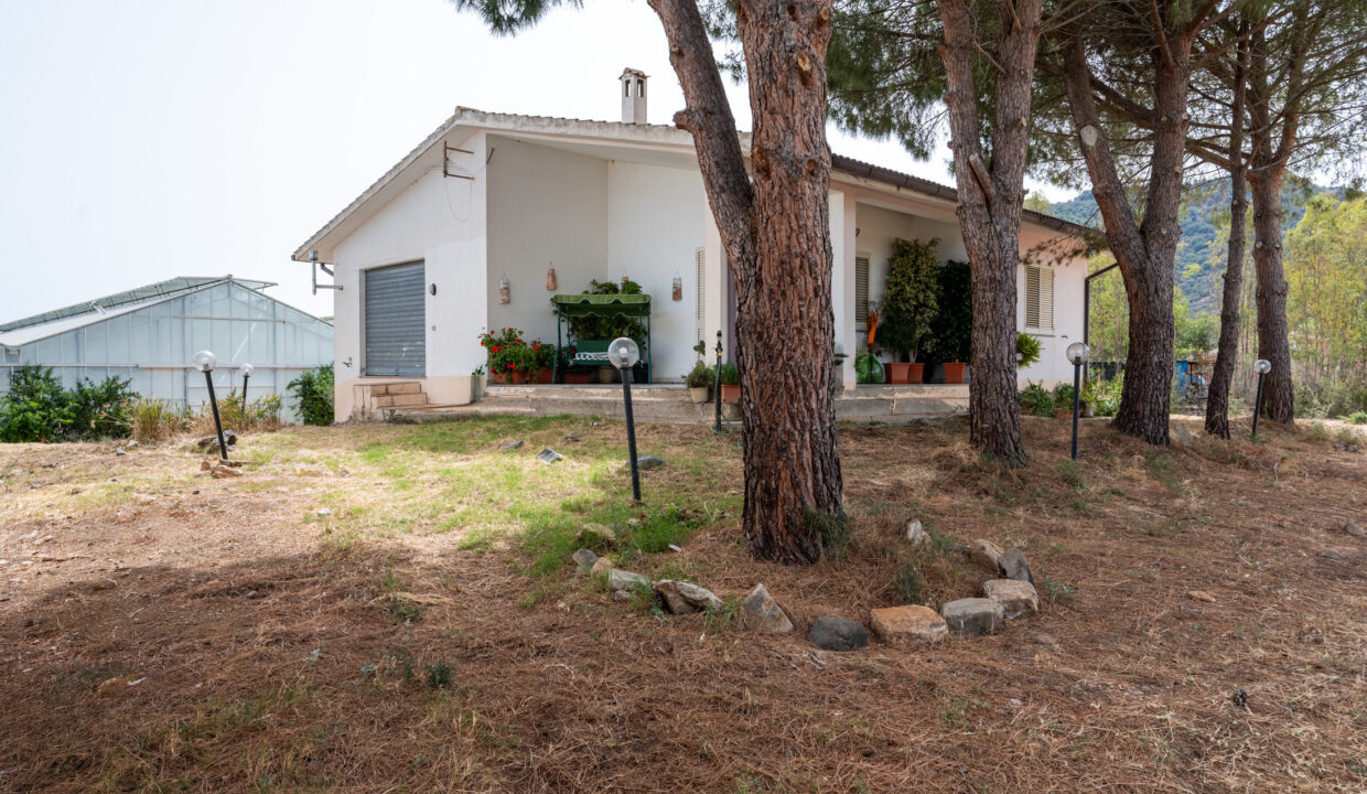 reunion-immobiliare-azienda-agricola-capoterra-15