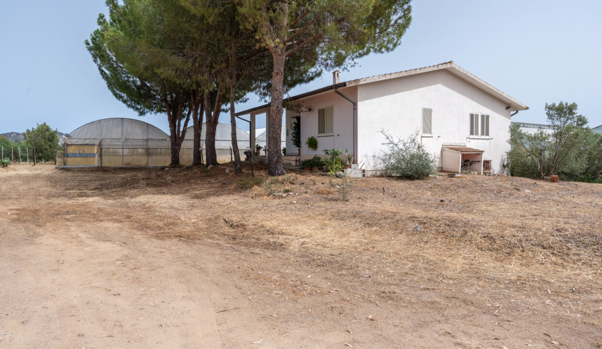 reunion-immobiliare-azienda-agricola-capoterra-18