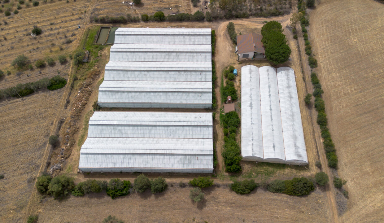 reunion-immobiliare-azienda-agricola-capoterra-2