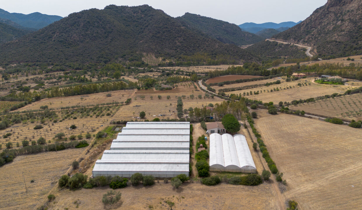reunion-immobiliare-azienda-agricola-capoterra-3