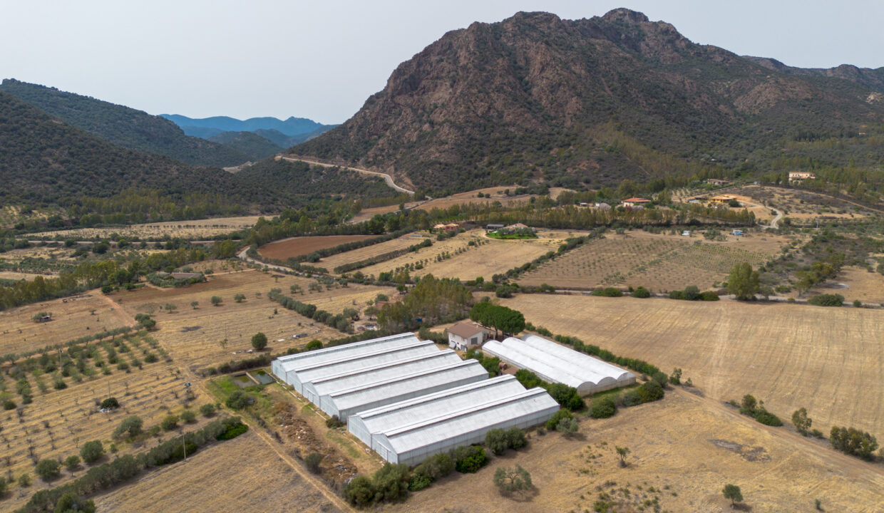 reunion-immobiliare-azienda-agricola-capoterra-4