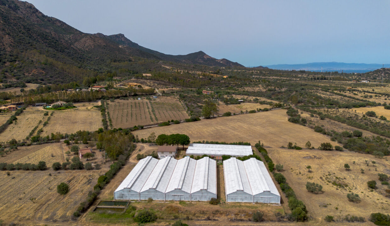 reunion-immobiliare-azienda-agricola-capoterra-5