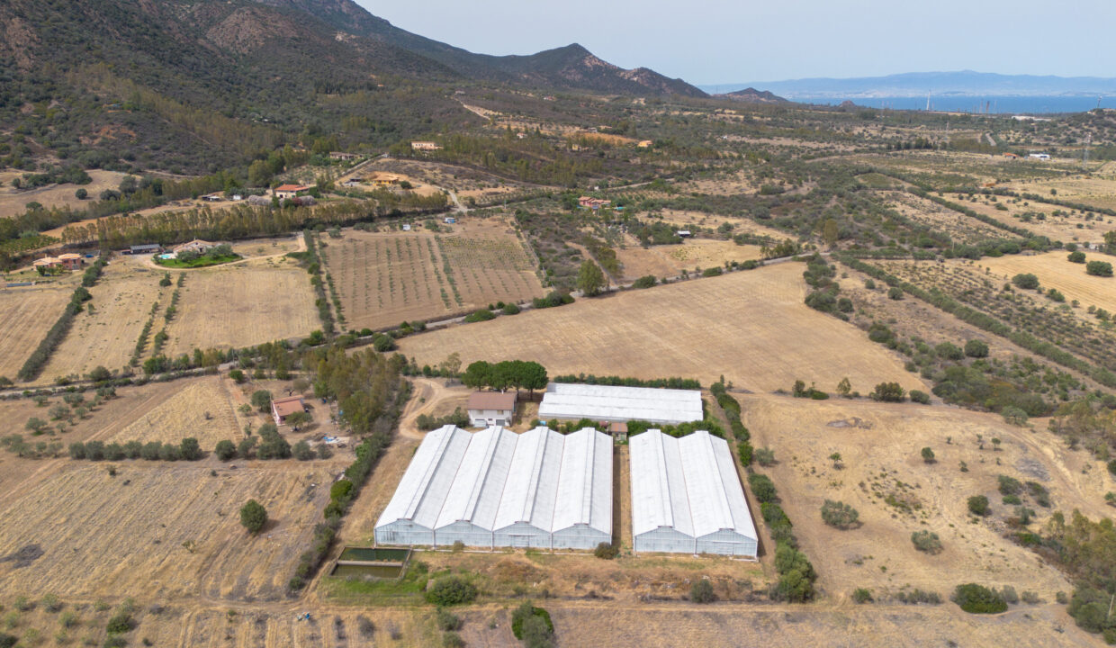 reunion-immobiliare-azienda-agricola-capoterra-6
