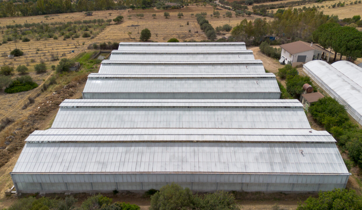 reunion-immobiliare-azienda-agricola-capoterra-7