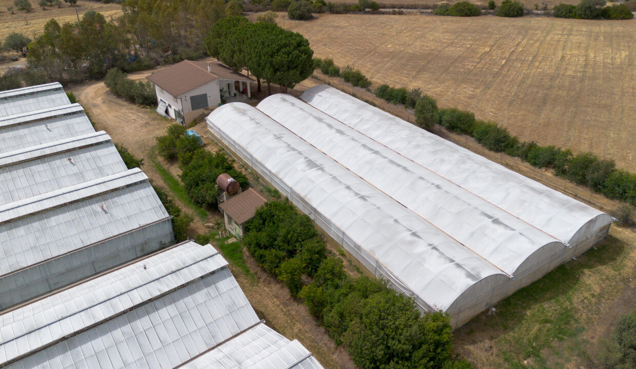 reunion-immobiliare-azienda-agricola-capoterra-8