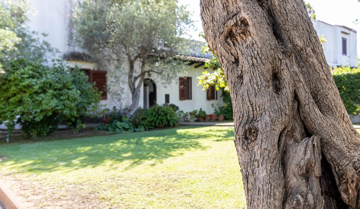 reunion-immobiliare-villa-torre-degli-ulivi-7
